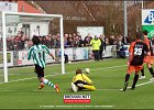 130406 SCG IJsselmeervogels (28)